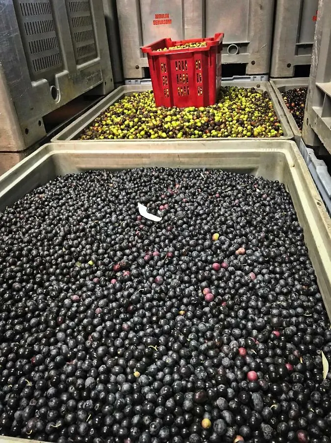 Affittacamere La Rabasse de Gallinette Aups Francia
